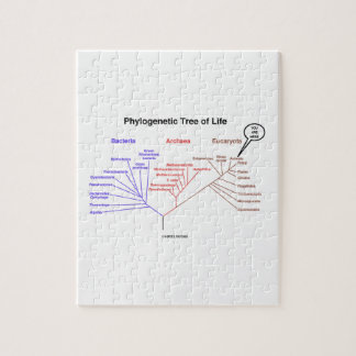 You Are Here Phylogenetic Tree Of Life (Biology) Jigsaw Puzzle