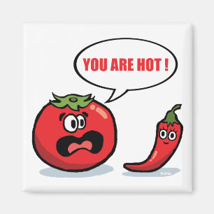 You are hot ! magnet