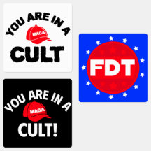 You Are In A Cult + FDT | Resistance Sticker Sheet