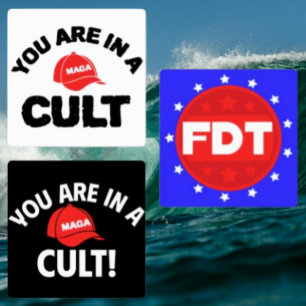You Are In A Cult + FDT   Resistance Sticker Sheet