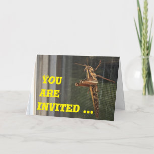 You are invited to come hang out, card