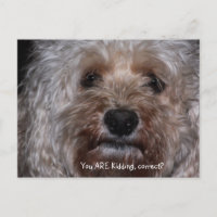 You ARE kidding, correct?