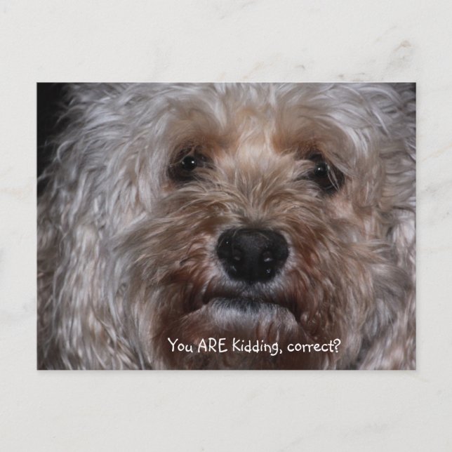 You ARE kidding, correct? Postcard (Front)