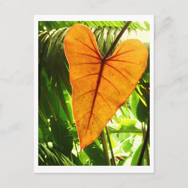 "You Are Loved" Postcard (Front)