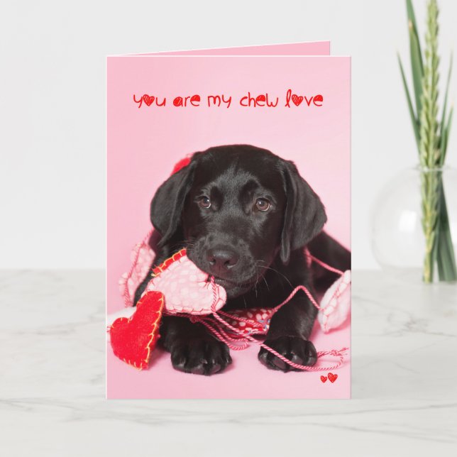 You are my Chew Love Black Lab Valentine Holiday Card (Front)
