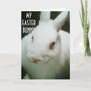 YOU ARE "MY" EASTER BUNNY HOLIDAY CARD