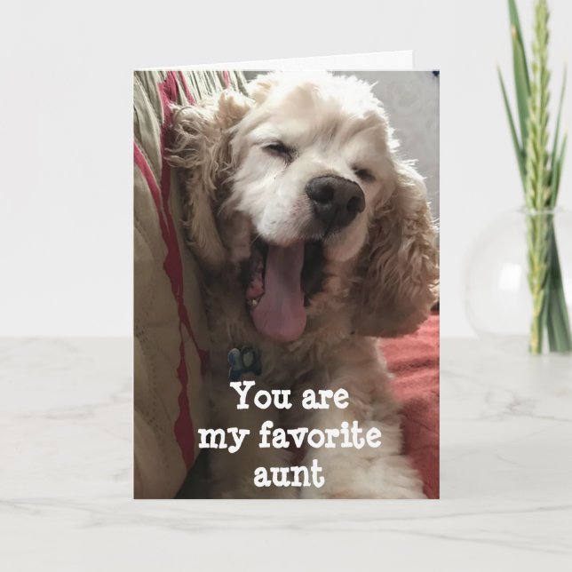 YOU ARE MY FAVORITE ***AUNT**** BIRTHDAY CARD (Front)