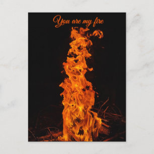 You Are My Fire" Romantic Bonfire Photo Postcard