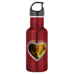 You Are My Light I Am Your Shadow Swan Lake Lovers 532 Ml Water Bottle