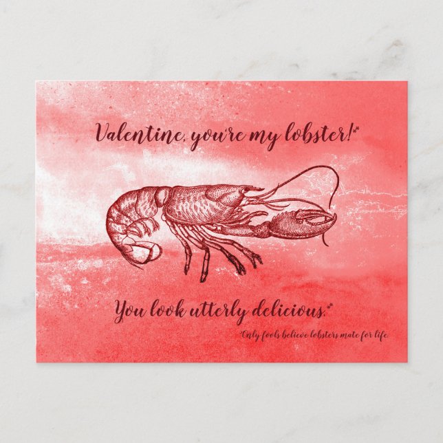 You are my lobster naughty Valentine Holiday Postcard (Front)