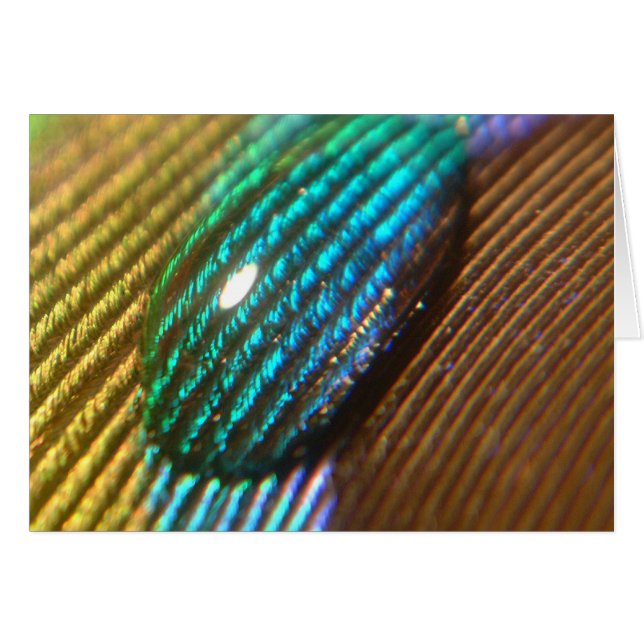 You are my RAINBOW (Front Horizontal)