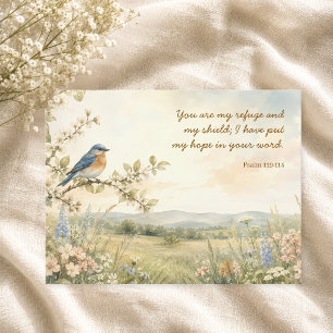You Are My Refuge Psalm 119:114 Christian Postcard