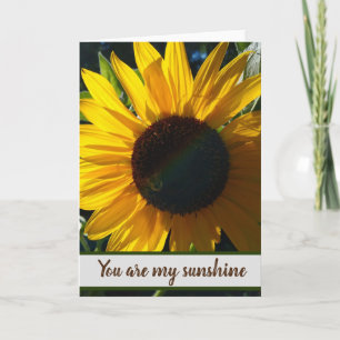 You Are My Sunshine - Blank Inside Card