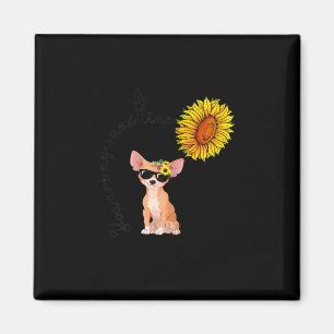 You Are My Sunshine Chihuahua Sunflower Chiahuahua Magnet