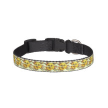 You Are My Sunshine Collar