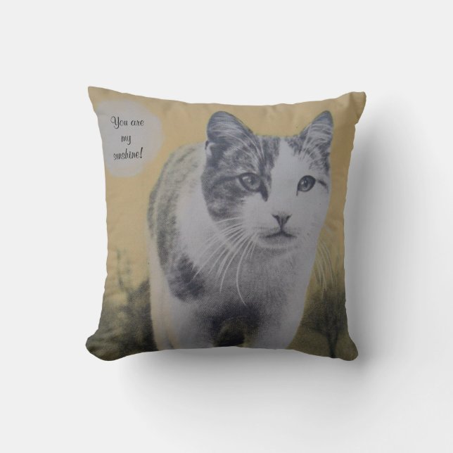 You Are My Sunshine! Cushion (Front)