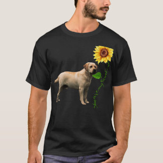 You Are My Sunshine Labrador T-Shirt
