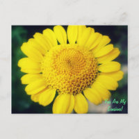 You Are My Sunshine!