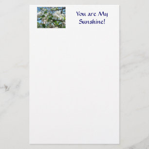 You are My Sunshine! Stationery Valentine's Day