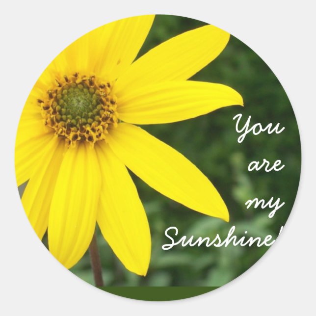 'You are my Sunshine!' Stickers (Front)