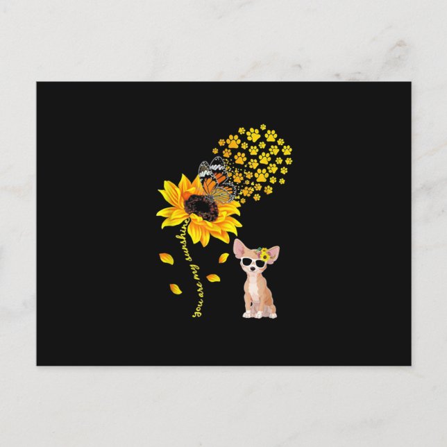 You Are My Sunshine Sunflower Chihuahua Men Women Holiday Postcard (Front)