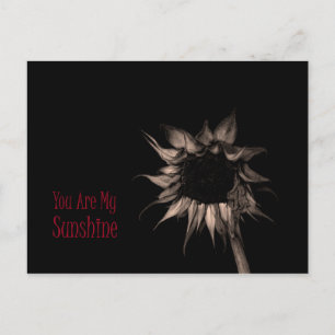 You Are My Sunshine Sunflower Cute Unique Cool Postcard