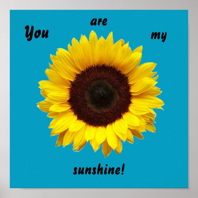 You are my sunshine! Sunflower poster (Front)