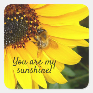 You are my Sunshine, Sunflower Square Sticker