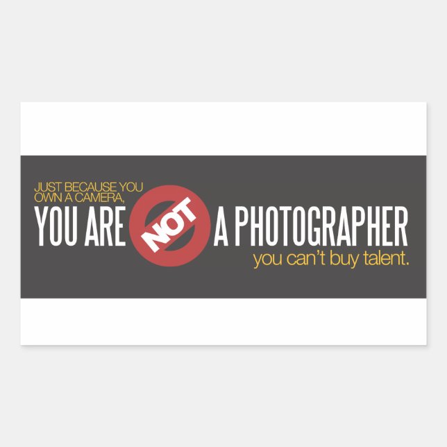 You Are Not a Photographer Set of Two Stickers (Front)