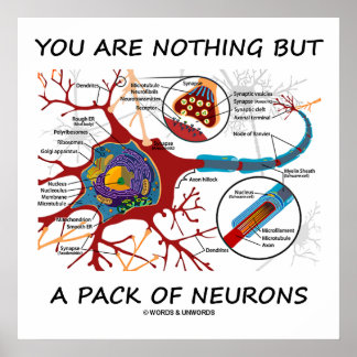 You Are Nothing But A Pack Of Neurons (Synapse) Poster