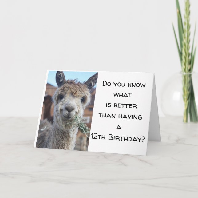 "YOU ARE NOW A *TEENAGER* HAPPY 13th BIRTHDAY Card (Front)