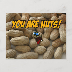 you are nuts! postcard