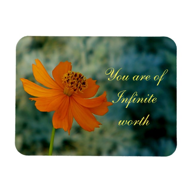 you are of infinite worth magnet (Horizontal)
