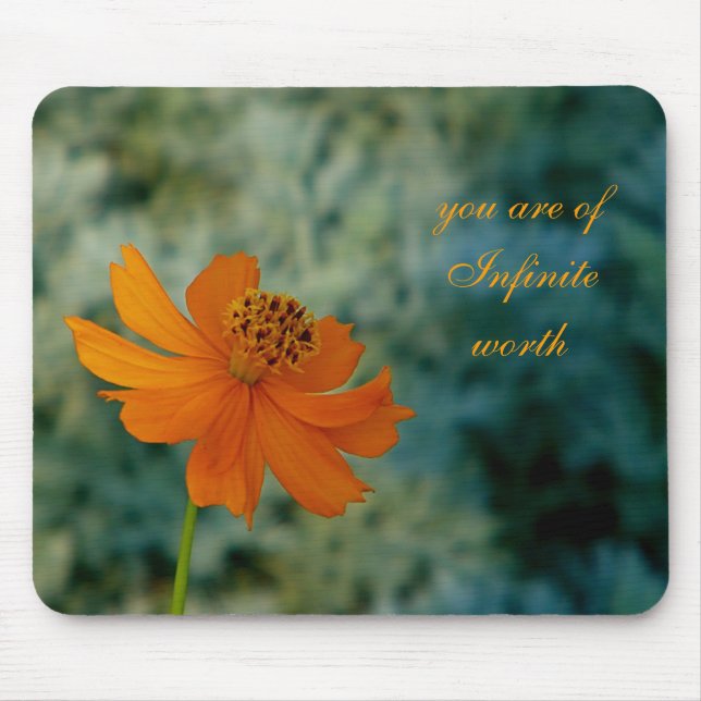 You are of infinite worth mousepad (Front)
