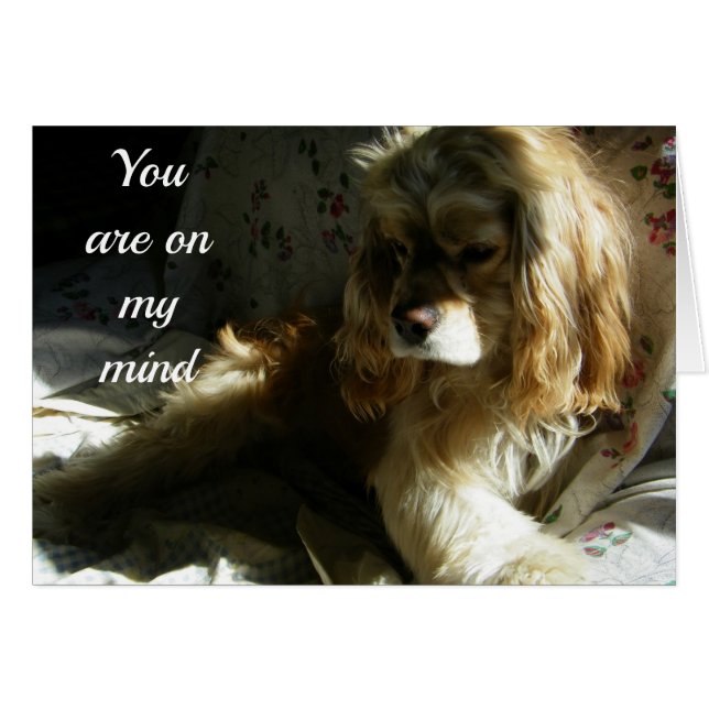 ****YOU ARE ON MY MIND**** LOVING COCKER SPANIEL (Front Horizontal)
