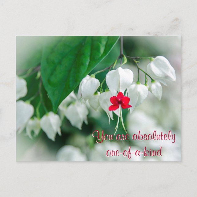 You Are One-of-a-kind Postcard (Front)