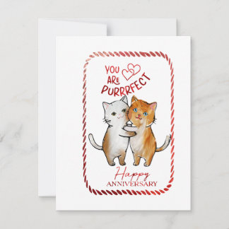 You are Purrfect Anniversary Greetings Holiday Card