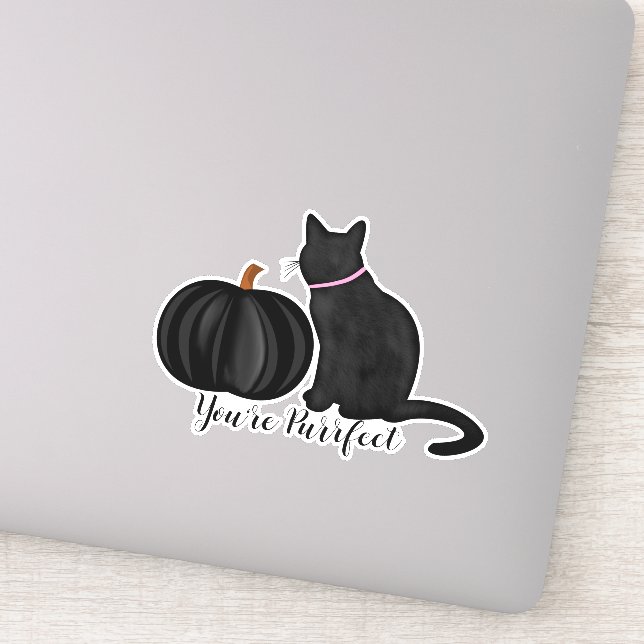 You Are Purrfect Black Cat And Black Pumpkin (Detail)