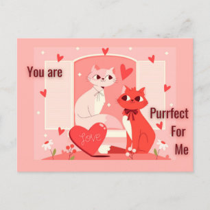 You are Purrfect for Me Postcard