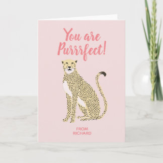 You are Purrrfect! Holiday Card