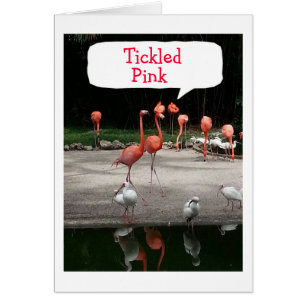 **YOU ARE RETIRING" FLAMINGOS ARE "TICKLED PINK"