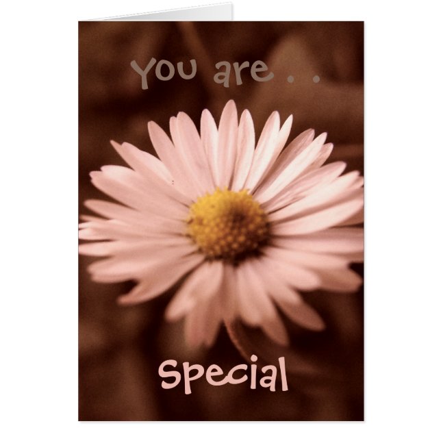 You are Special Card (Front)
