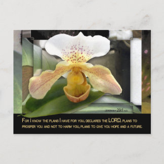 You Are Special! Postcard