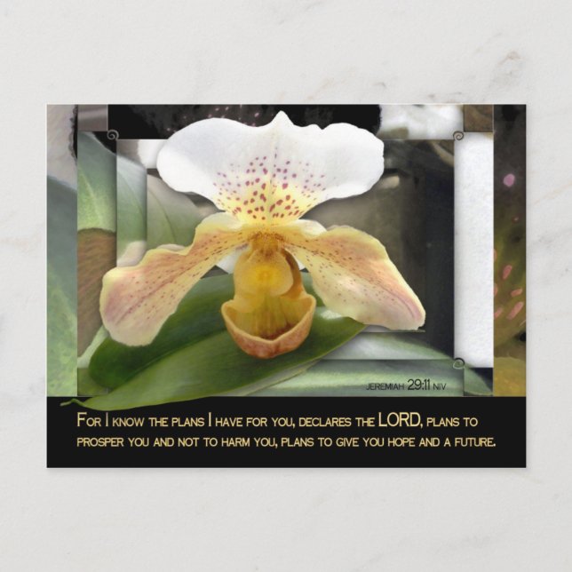 You Are Special! Postcard (Front)