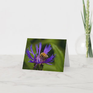 You are sweet as honey greeting card