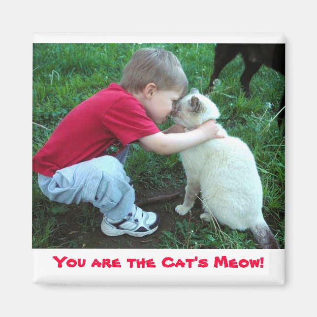 You are the Cat's Meow! magnet (Front)