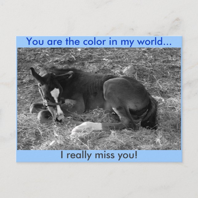 You are the colour in my world postcard (Front)