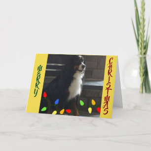 YOU ARE THE *LIGHT OF MY LIFE* CHRISTMAS CARD