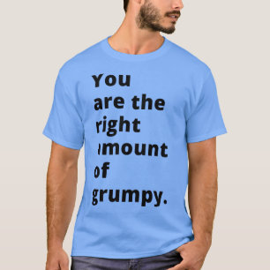 You Are The Right Amount Of  Funny Valentines Day  T-Shirt