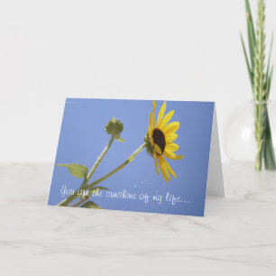 You are the sunshine of my life... card